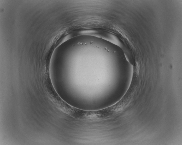 X0000068810407200605051150