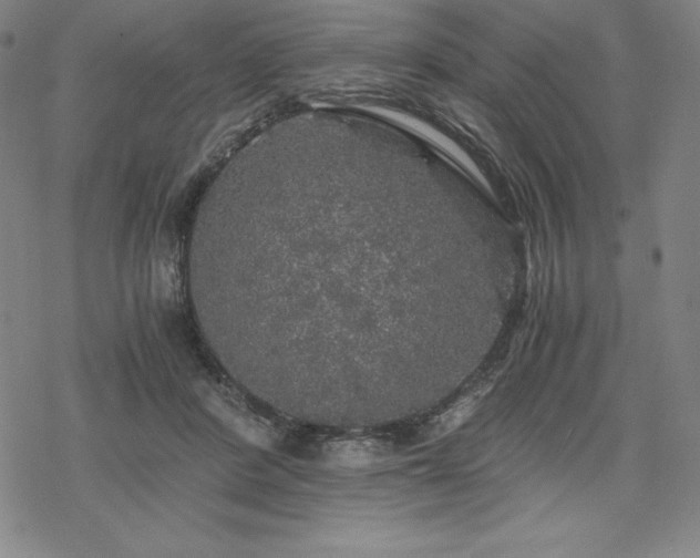 X0000068810408200605051150