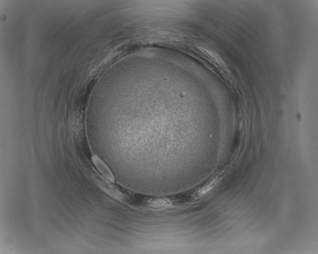 X0000068810409200605051150