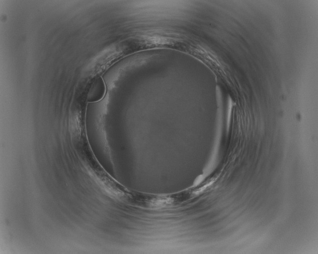 X0000068810410200605051150