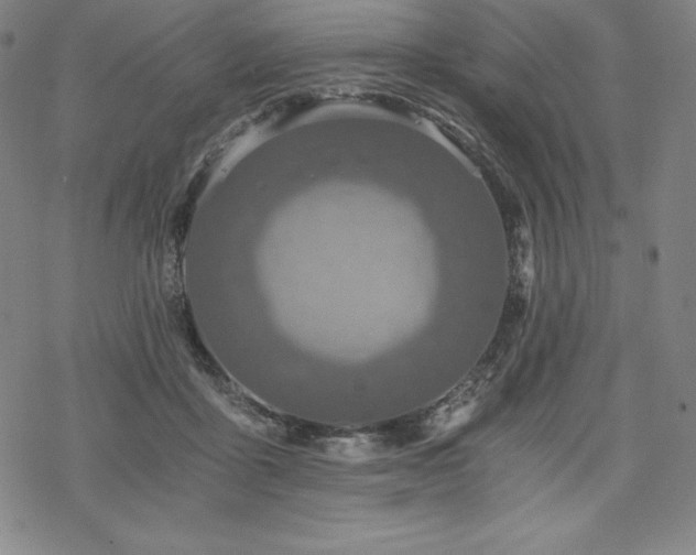 X0000068810411200605051150