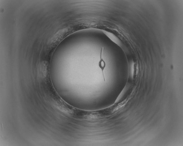 X0000068810412200605051150