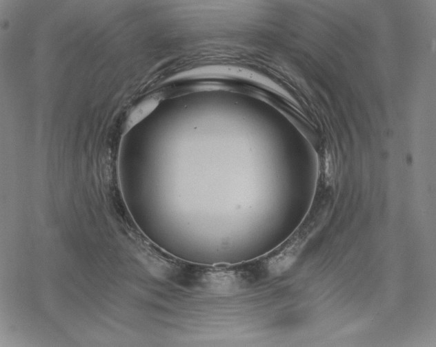 X0000068810413200605051150