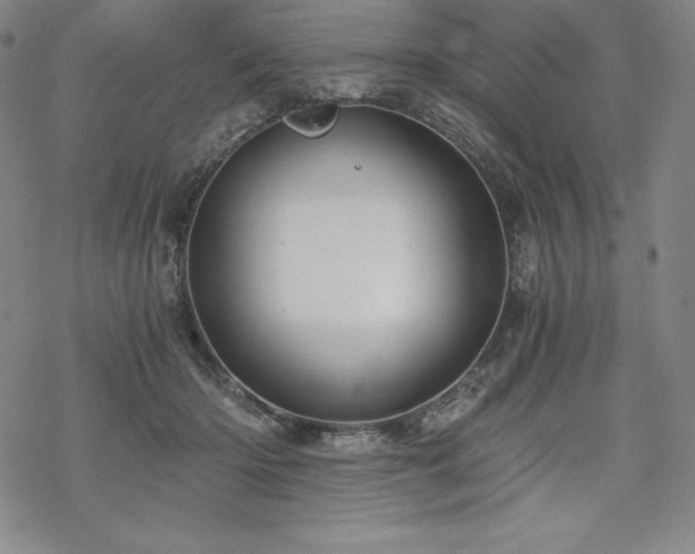 X0000068810414200605051150