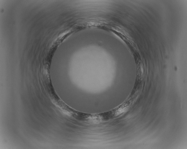 X0000068810415200605051150