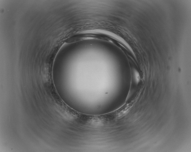 X0000068810416200605051150