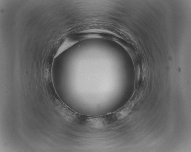 X0000068810417200605051150