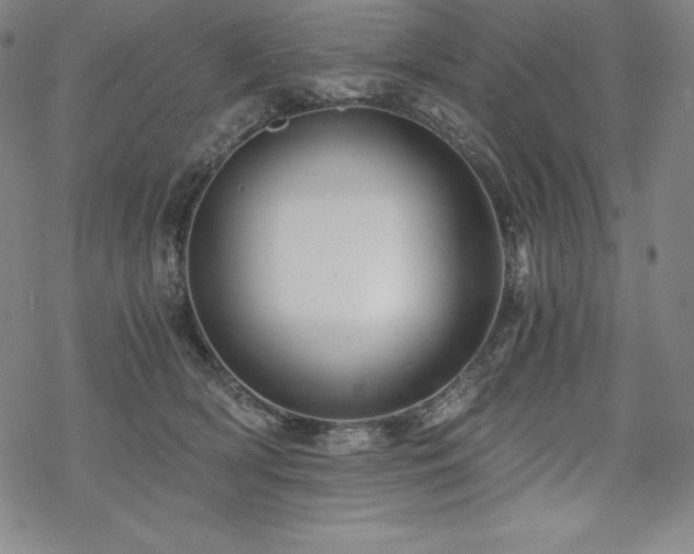 X0000068810418200605051150