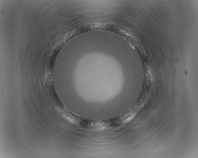 X0000068810419200605051150