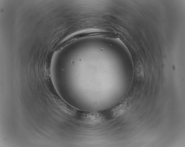 X0000068810420200605051150