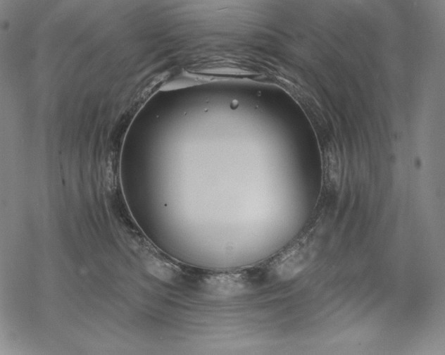 X0000068810422200605051150