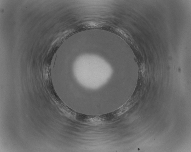 X0000068810423200605051150