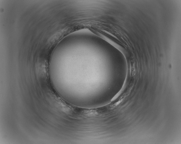 X0000068810424200605051150