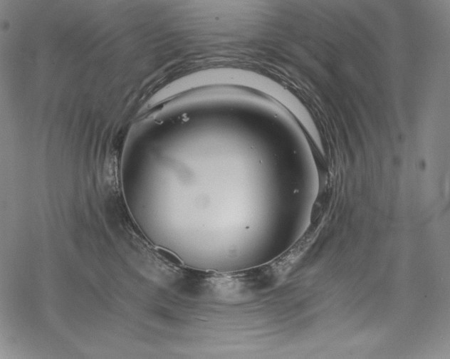 X0000068810425200605051150