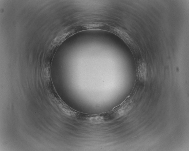 X0000068810426200605051150