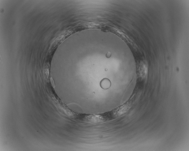 X0000068810427200605051150