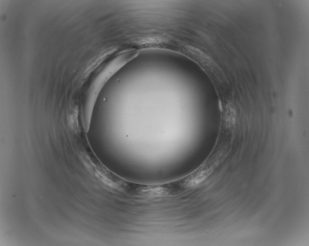 X0000068810428200605051150