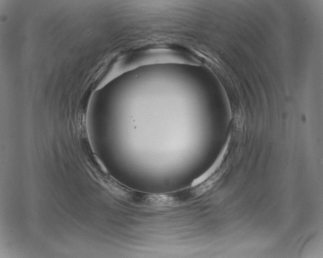 X0000068810429200605051150