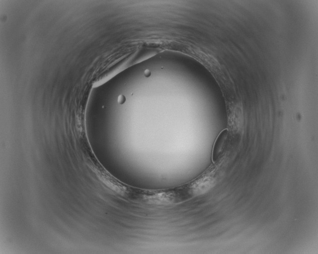 X0000068810430200605051150