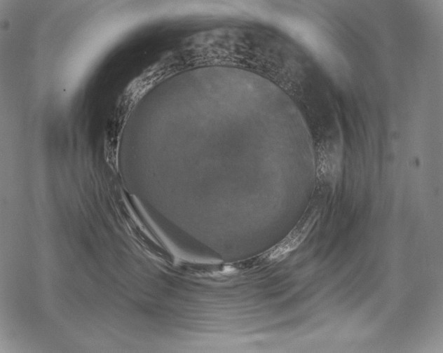 X0000068810431200605051150