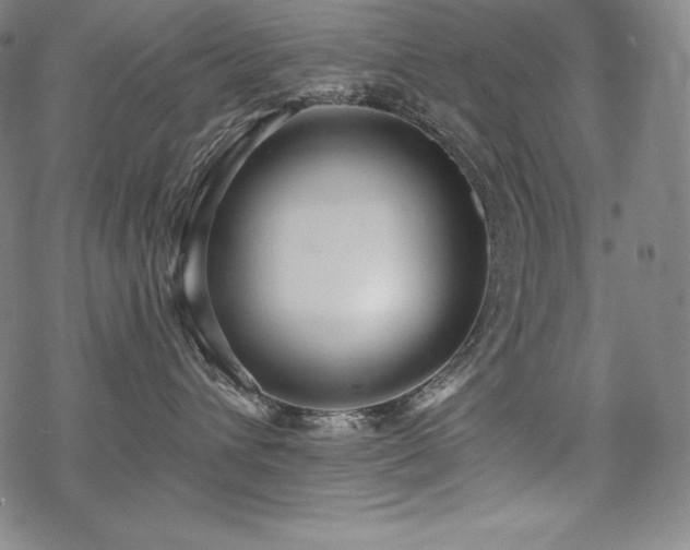 X0000068810432200605051150