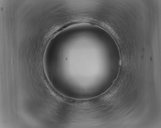 X0000068810433200605051149