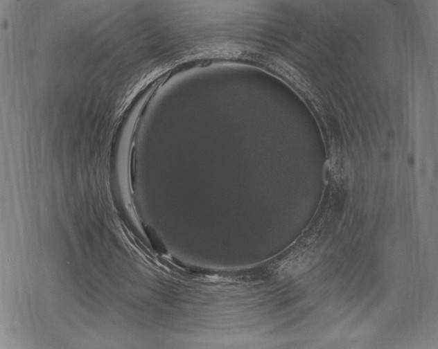 X0000068810434200605051149