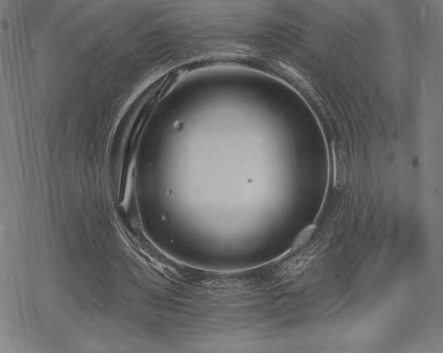 X0000068810435200605051149