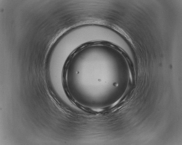 X0000068810436200605051149