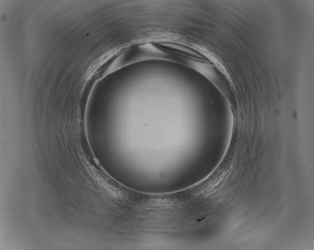 X0000068810437200605051149