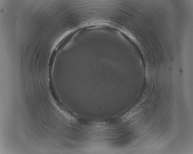 X0000068810438200605051149