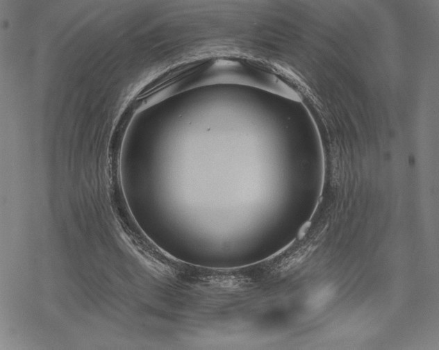 X0000068810439200605051149