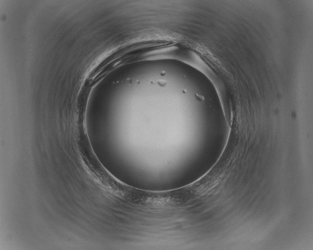 X0000068810440200605051149