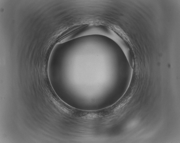 X0000068810441200605051149