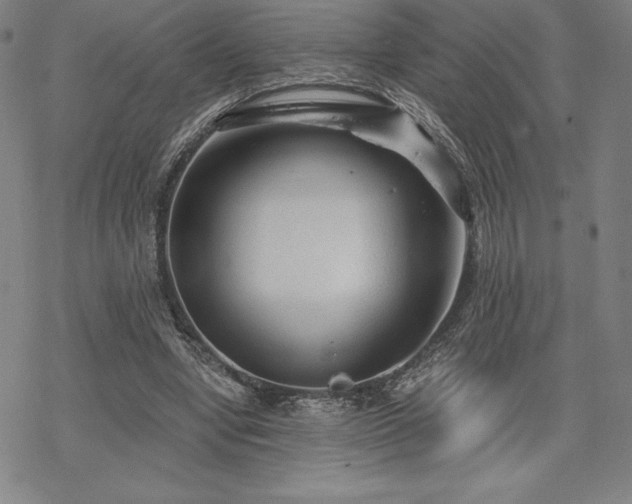 X0000068810442200605051149