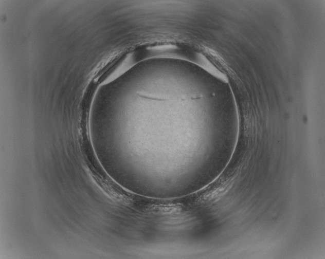 X0000068810443200605051149