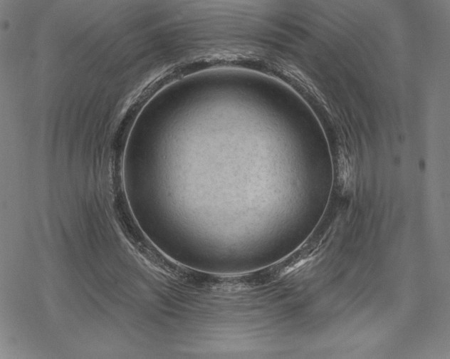 X0000068810444200605051149