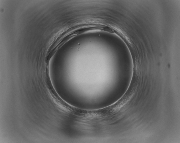 X0000068810445200605051149