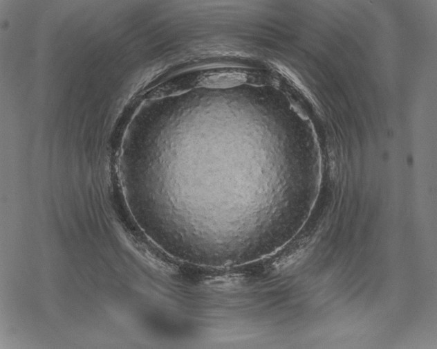 X0000068810447200605051149