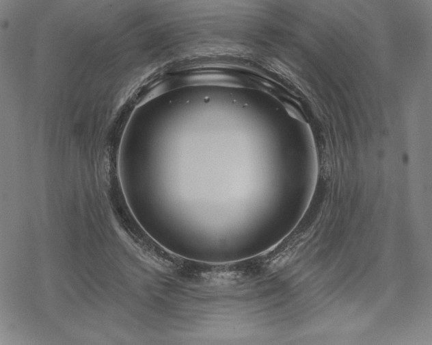 X0000068810448200605051149