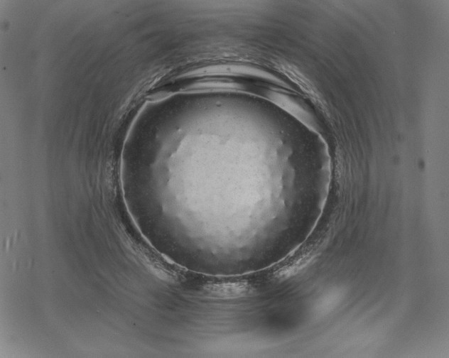 X0000068810449200605051149