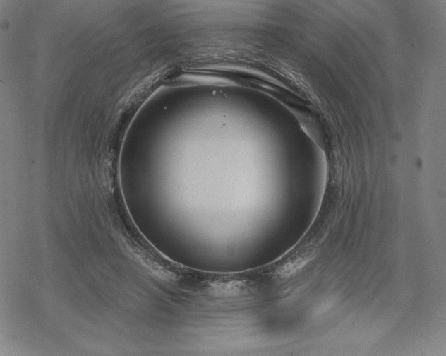 X0000068810450200605051149