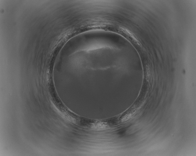 X0000068810451200605051149