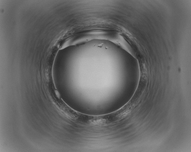 X0000068810452200605051149