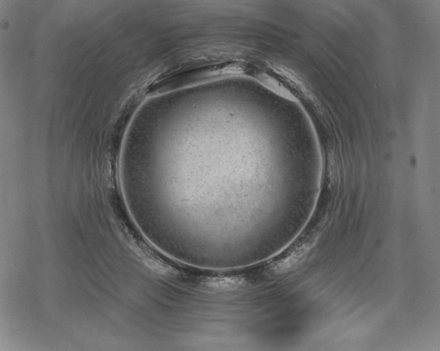 X0000068810453200605051149