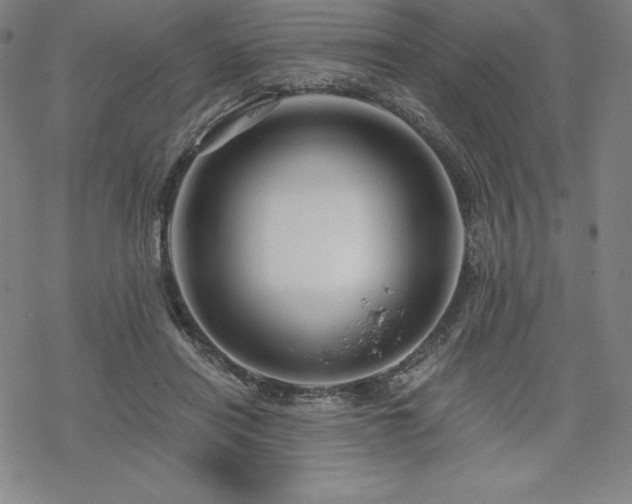 X0000068810454200605051149