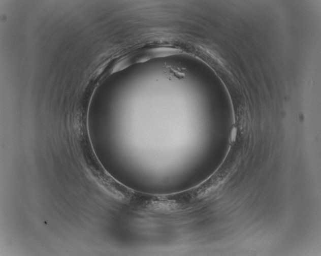 X0000068810455200605051149