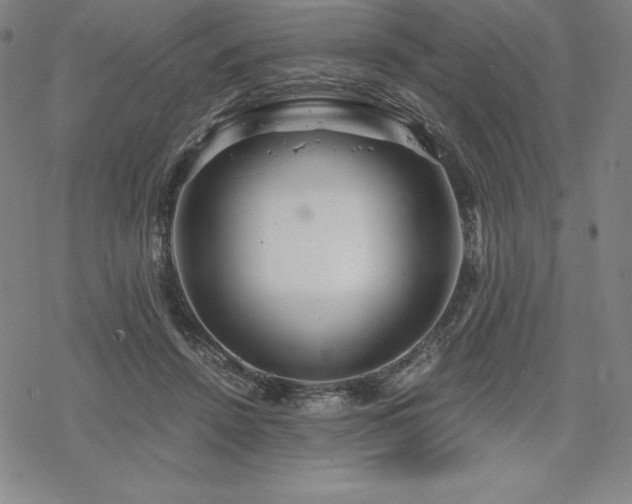 X0000068810456200605051149