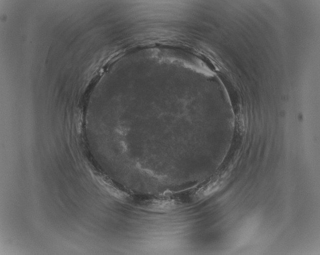 X0000068810458200605051149