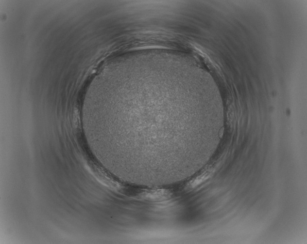 X0000068810459200605051149